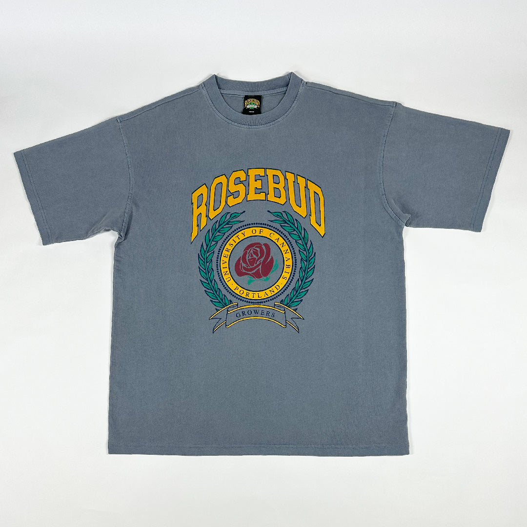 Washed Blue Vintage Varsity Tee